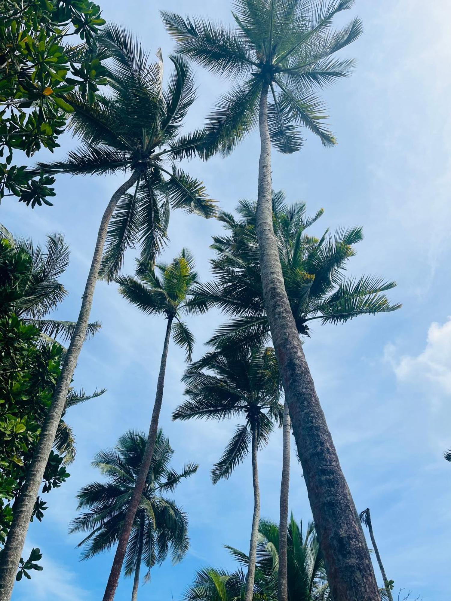 Esperanza Beach Mawella Hotel Tangalle Bagian luar foto